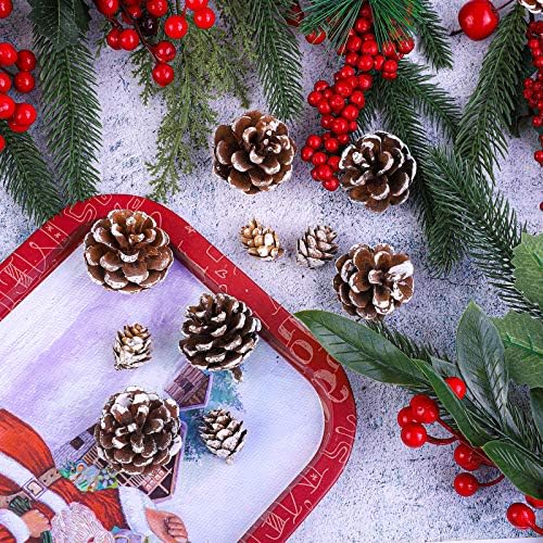 Cooraby Noel Çam Kozalakları Doğal Kar 20 Adet 4-6 cm Çam Kozalakları ve 30 Adet 2-3 cm Şükran Günü Dekorasyonu için Mikro-Mini Çam